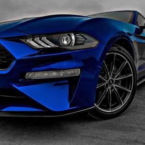 Meet your Posher, Noah